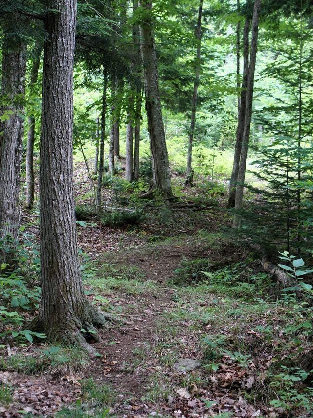 0 Lesperance Rd, Albion, ME 04901 - photo 15