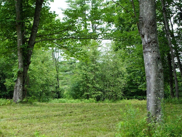 0 Lesperance Rd, Albion, ME 04901 - photo 5
