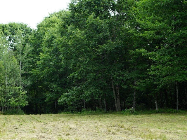 0 Lesperance Rd, Albion, ME 04901 - photo 4