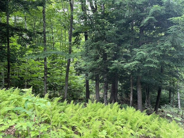0 Lesperance Rd, Albion, ME 04901 - photo 7