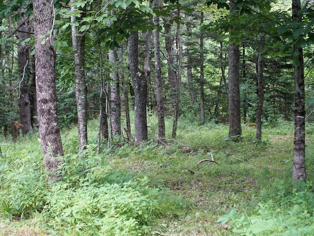 0 Lesperance Rd, Albion, ME 04901 - photo 11