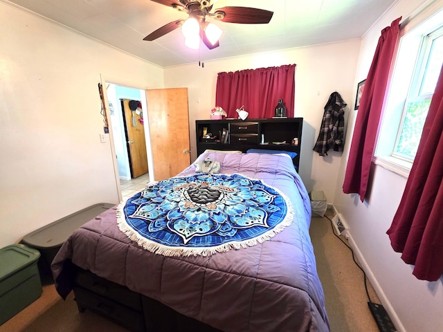 350 Main St, Grand Isle, ME 04746 - photo 27