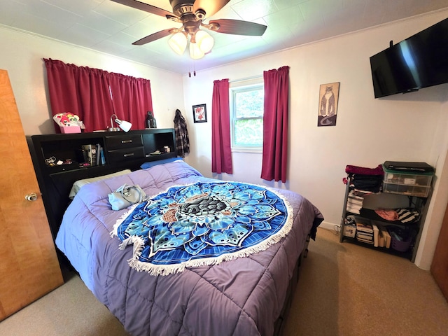 350 Main St, Grand Isle, ME 04746 - photo 28