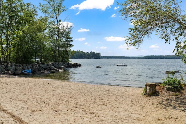 8 Henderson Ct, Windham, ME 04062 - photo 76