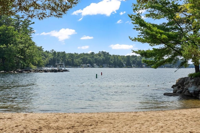 8 Henderson Ct, Windham, ME 04062 - photo 79