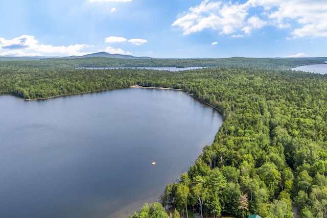 412 Cedar Lake Rd Unit T2 R9, Nwp, ME 04462 - photo 48
