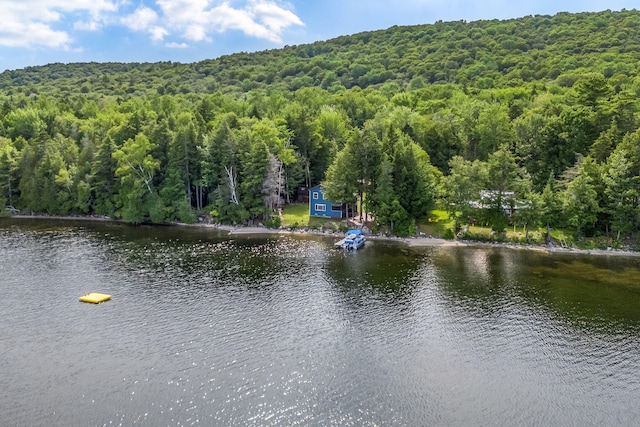 412 Cedar Lake Rd Unit T2 R9, Nwp, ME 04462 - photo 47