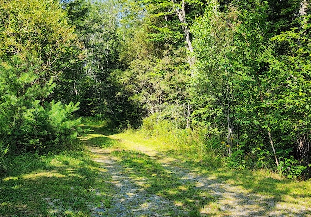 3 Kims Way, Trenton, ME 04605 - photo 29