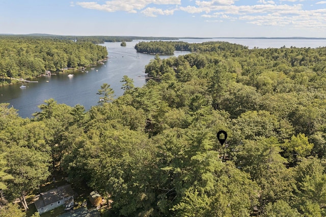 26 Jamesport Rd, Casco, ME 04015 - photo 39