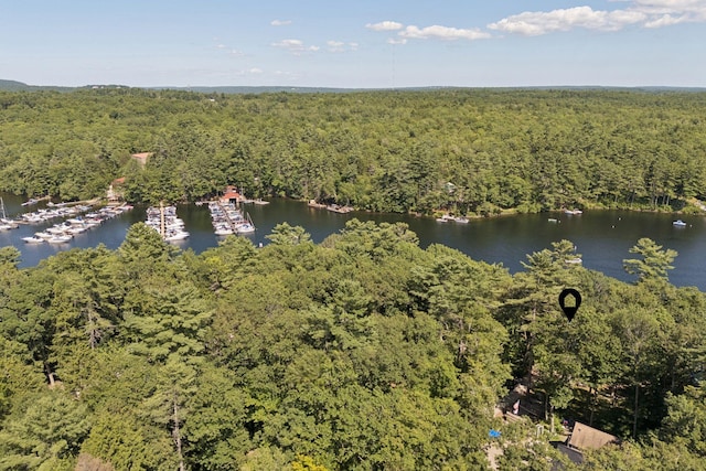 26 Jamesport Rd, Casco, ME 04015 - photo 40
