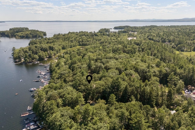 26 Jamesport Rd, Casco, ME 04015 - photo 42