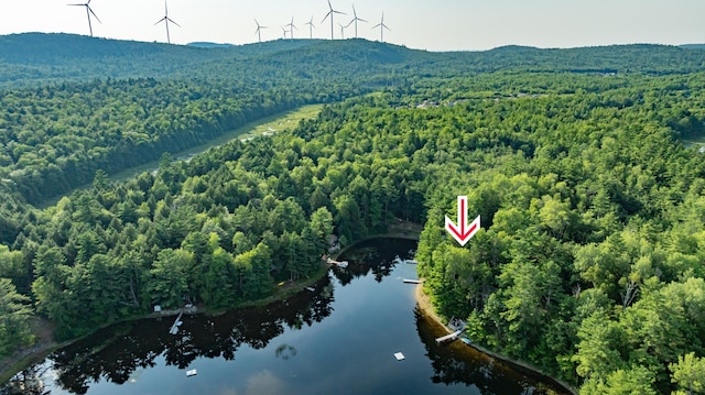 12 Paradise Cv, Clifton, ME 04428 - photo 3