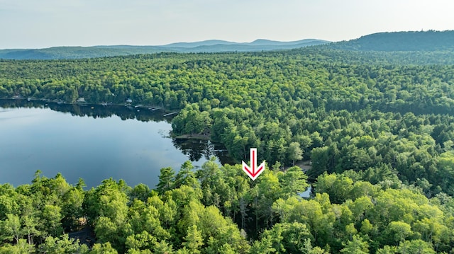 12 Paradise Cv, Clifton, ME 04428 - photo 51