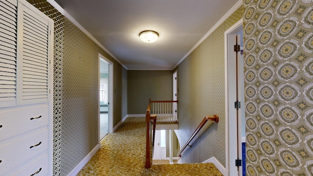80 Pettingill St, Lewiston, ME 04240 - photo 19