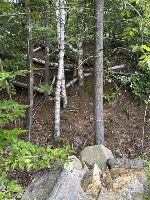 00 Libby Rd Lot # 9, Newfield, ME 04095 - photo 6