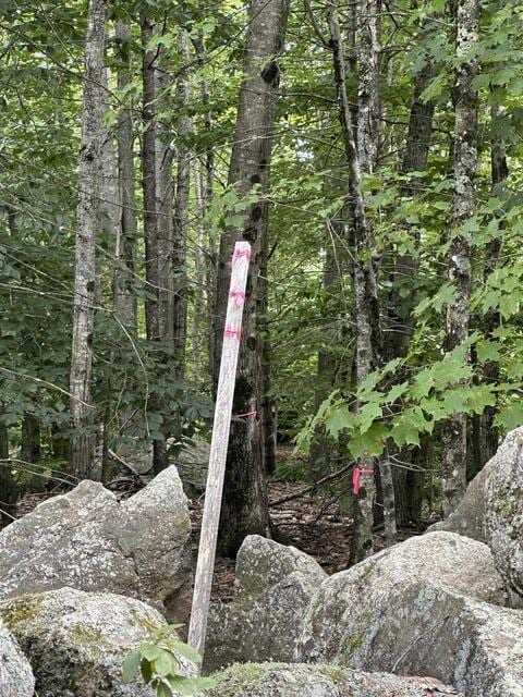 00 Libby Rd Lot # 9, Newfield, ME 04095 - photo 7