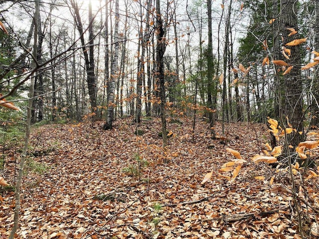 00 Libby Rd Lot # 9, Newfield, ME 04095 - photo 8