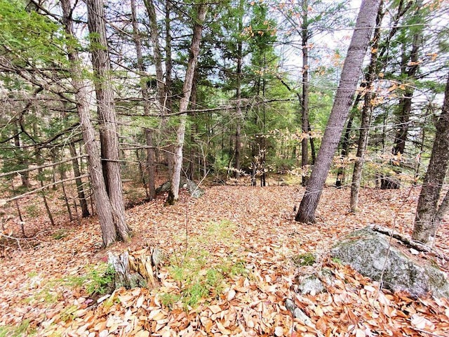 00 Libby Rd Lot # 9, Newfield, ME 04095 - photo 9