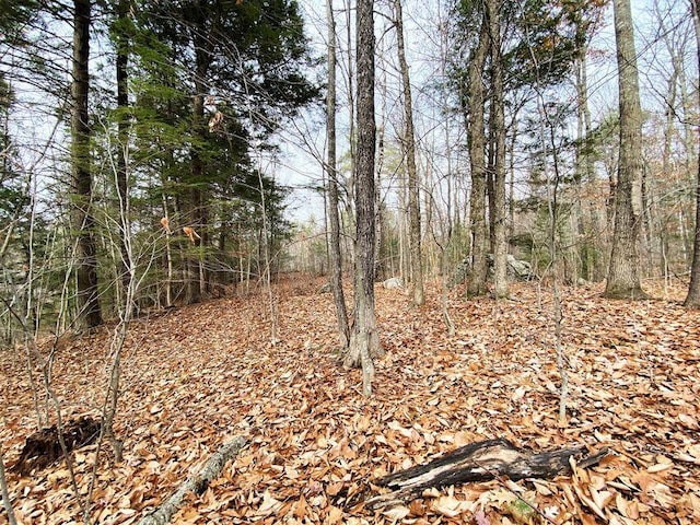 00 Libby Rd Lot # 9, Newfield, ME 04095 - photo 10
