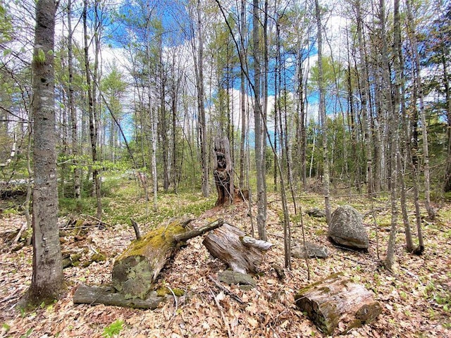 00 Libby Rd Lot # 9, Newfield, ME 04095 - photo 11