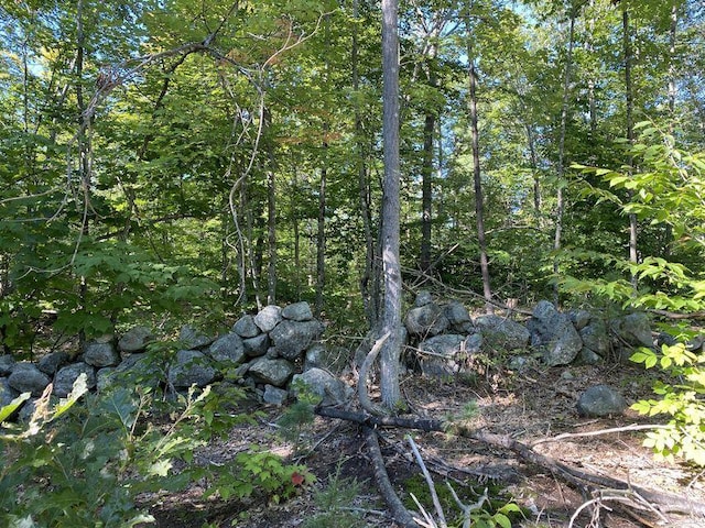 00 Libby Rd Lot # 9, Newfield, ME 04095 - photo 12