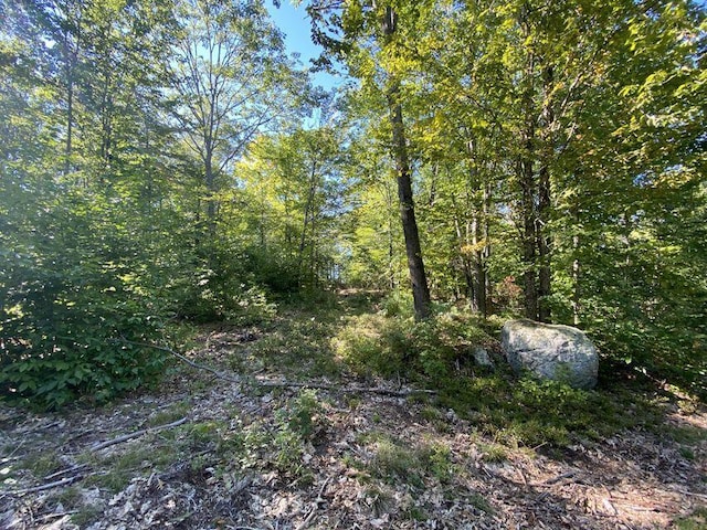 00 Libby Rd Lot # 9, Newfield, ME 04095 - photo 13