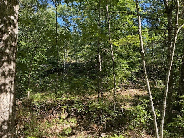 00 Libby Rd Lot # 9, Newfield, ME 04095 - photo 14