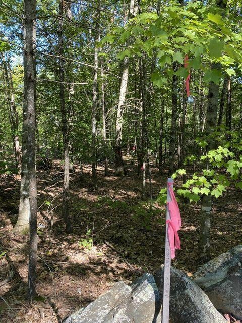 00 Libby Rd Lot # 9, Newfield, ME 04095 - photo 15