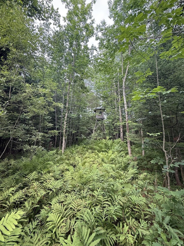 818 Higgins Rd, Pittsfield, ME 04967 - photo 8