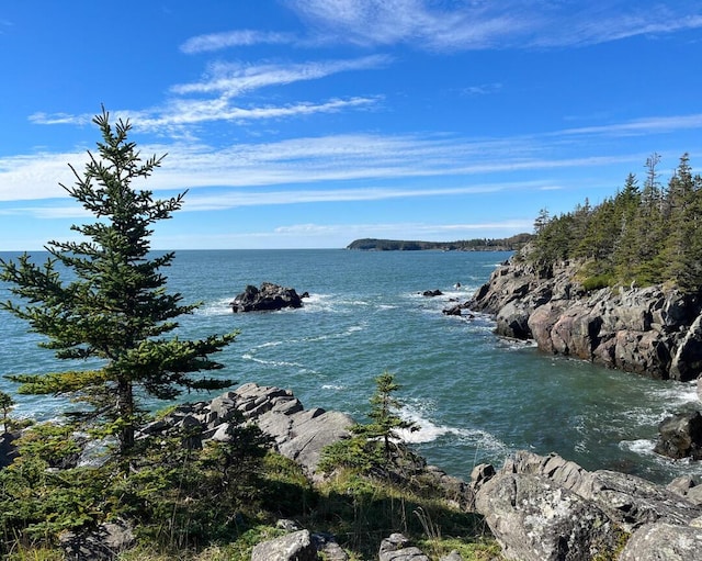 16 Monument St, Lubec, ME 04652 - photo 61