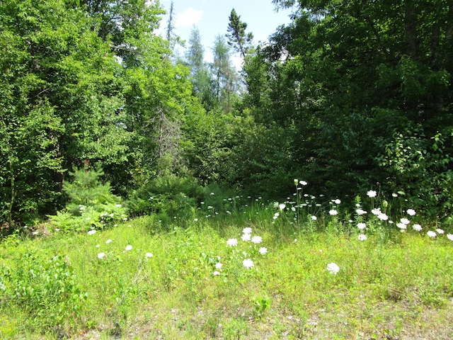 002-030 Caribou Rd, Enfield, ME 04493 - photo 2