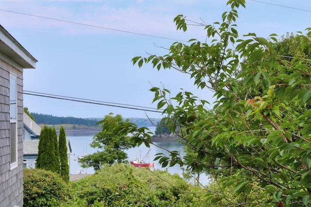 6 Pleasant St, Lubec, ME 04652 - photo 19