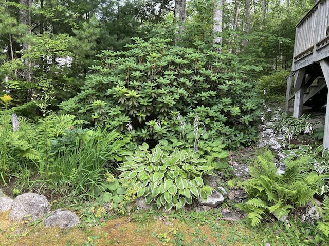 13 Chipmunk Ln, Franklin, ME 04634 - photo 47
