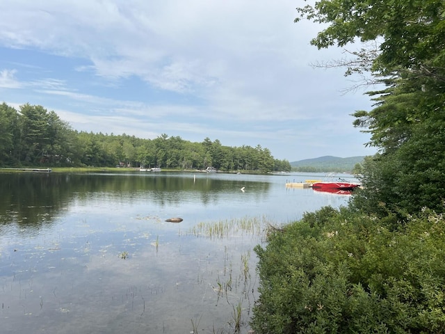 13 Chipmunk Ln, Franklin, ME 04634 - photo 49