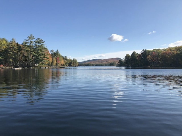 13 Chipmunk Ln, Franklin, ME 04634 - photo 54