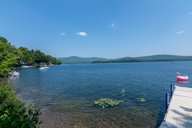 14 Beech Rd, Industry, ME 04938 - photo 10