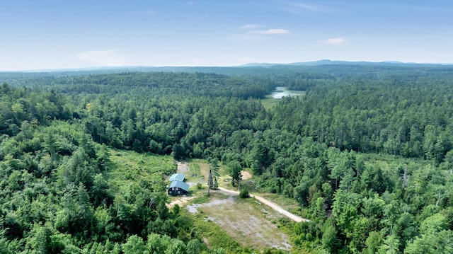 112 Gile Rd, Newfield, ME 04095 - photo 28