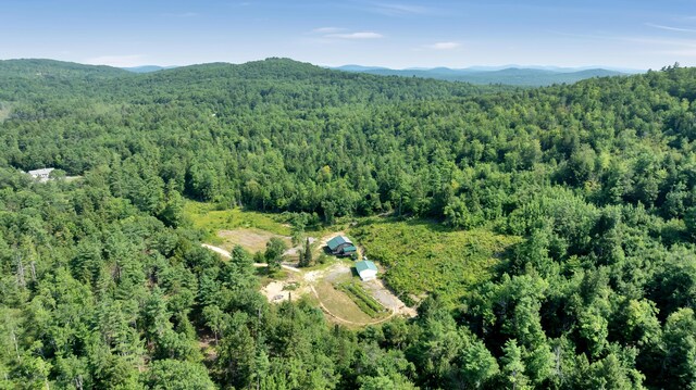 112 Gile Rd, Newfield, ME 04095 - photo 32
