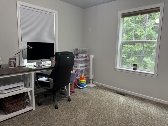13 Merritt Dr, Orono, ME 04473 - photo 27
