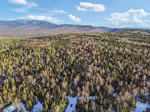 10/31 Birch Hill Way, Dallas Plt, ME 04970 - photo 2