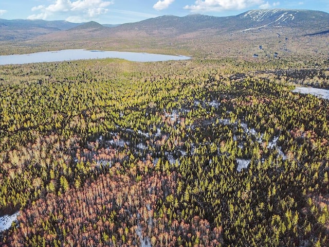 10/31 Birch Hill Way, Dallas Plt, ME 04970 - photo 3
