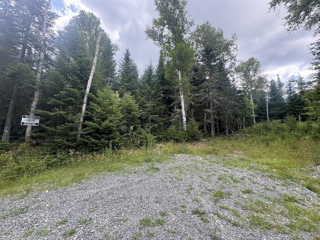 10/31 Birch Hill Way, Dallas Plt, ME 04970 - photo 6