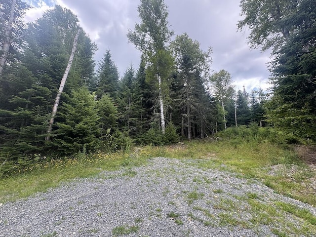 10/31 Birch Hill Way, Dallas Plt, ME 04970 - photo 7
