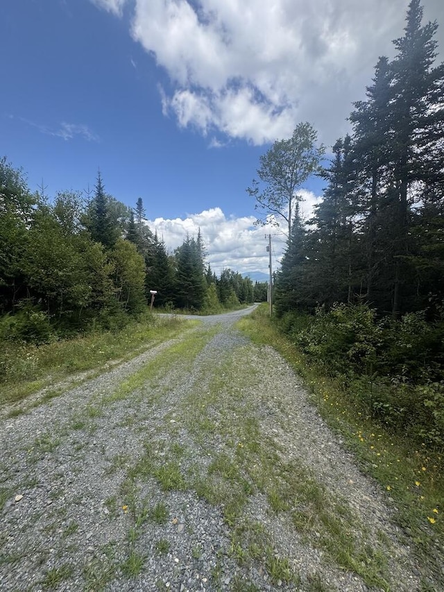 10/31 Birch Hill Way, Dallas Plt, ME 04970 - photo 8