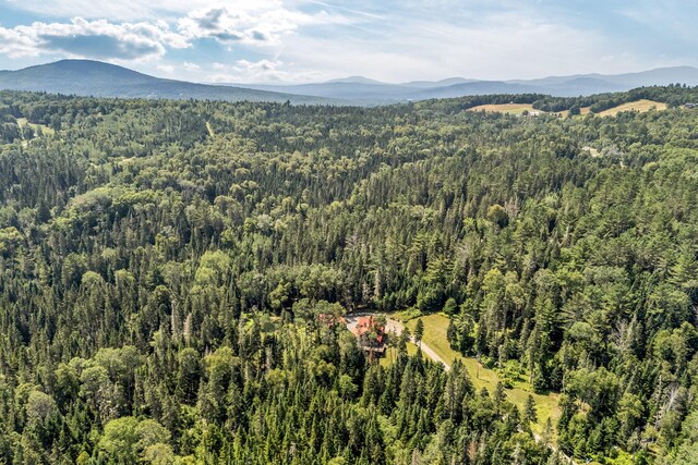 658 Mingo Loop Rd, Rangeley, ME 04970 - photo 67
