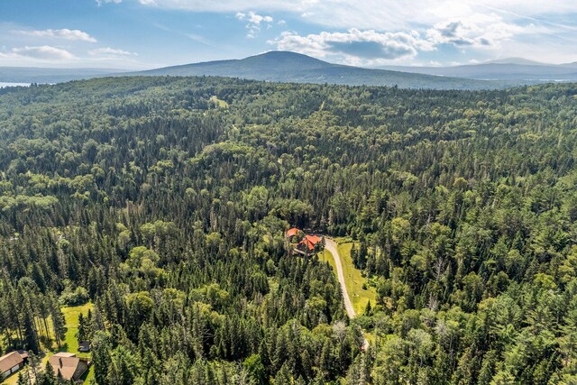 658 Mingo Loop Rd, Rangeley, ME 04970 - photo 68