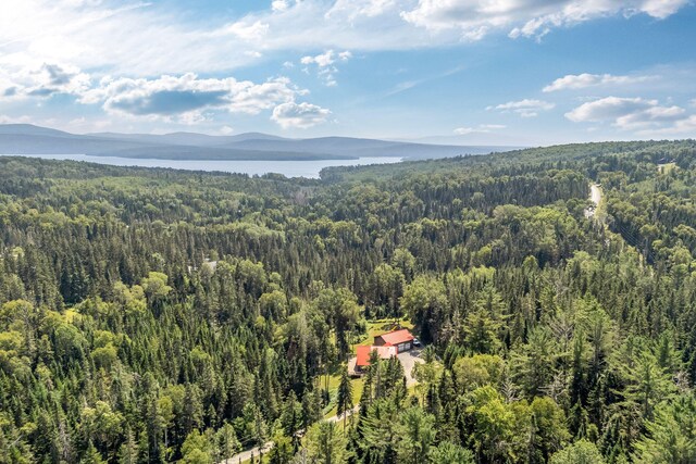 658 Mingo Loop Rd, Rangeley, ME 04970 - photo 70