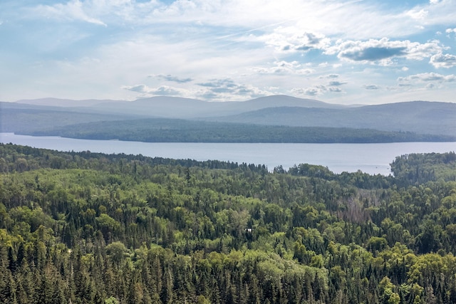 658 Mingo Loop Rd, Rangeley, ME 04970 - photo 71
