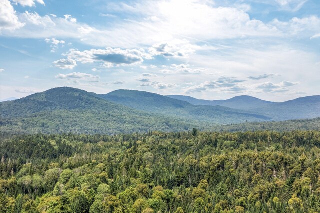 658 Mingo Loop Rd, Rangeley, ME 04970 - photo 76