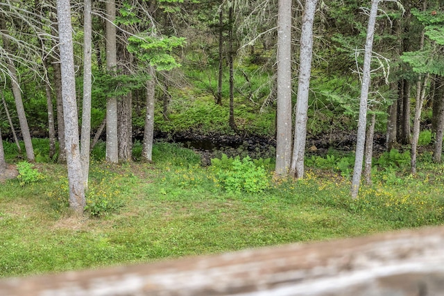 658 Mingo Loop Rd, Rangeley, ME 04970 - photo 50